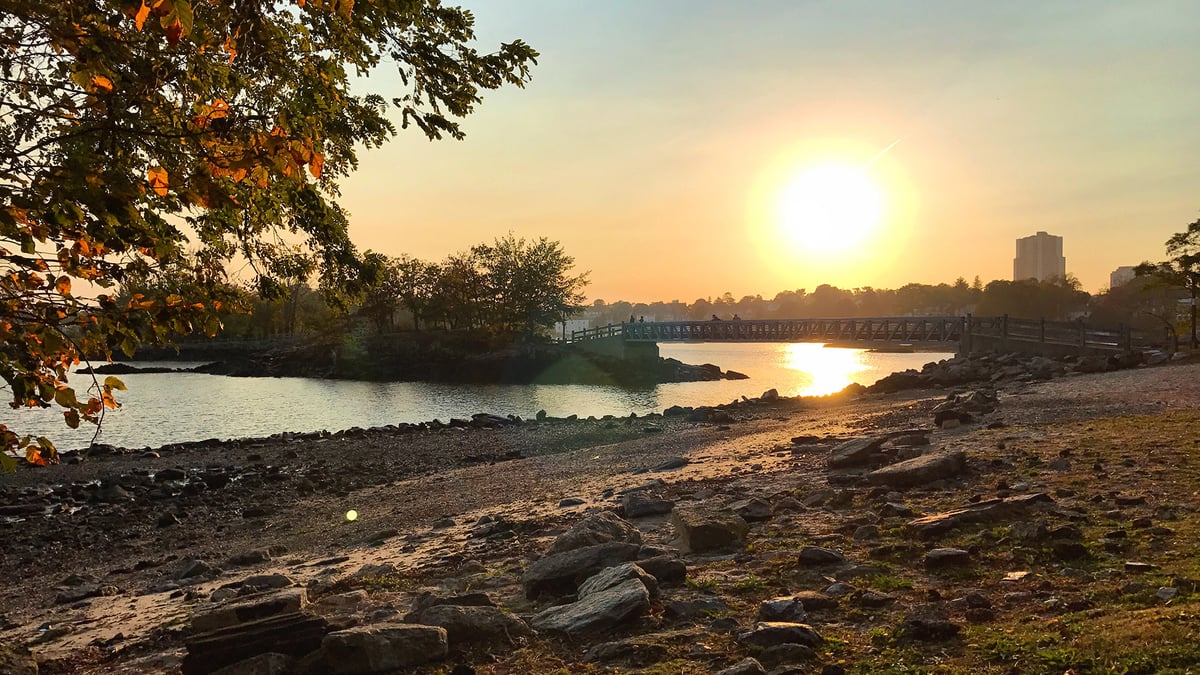 Crafted Branding New Rochelle Parks Rec Hero