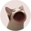 Popcat