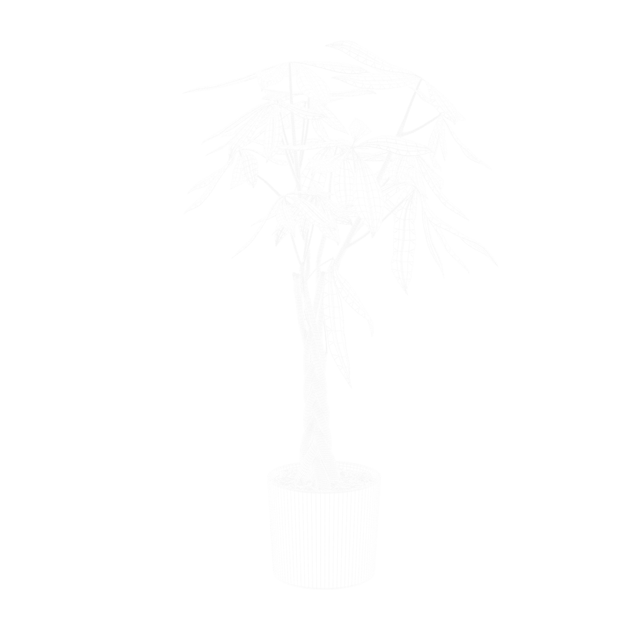 Modelo de árvore do dinheiro