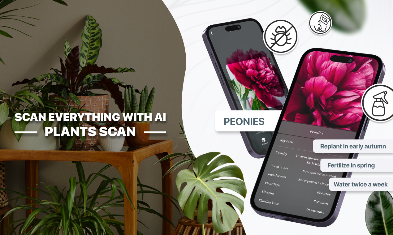 TapScanner