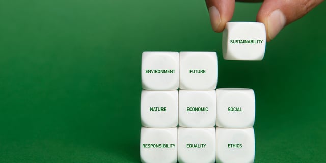 Aligning ESG Strategy with Broader Environmental, Economic, and Social Goals