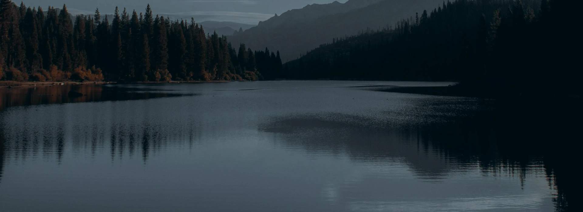 Partner bg image